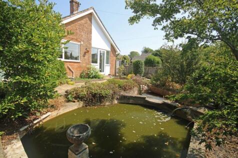 Pond 