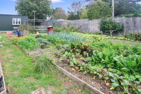 Vegetable garden