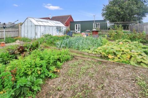 Vegetable garden