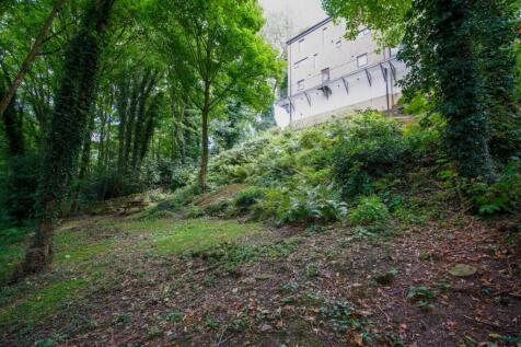 DSC05631-HDR.jpg