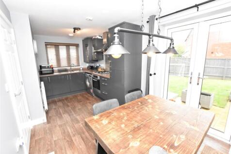 DSC_0780 - Copy (7).JPG