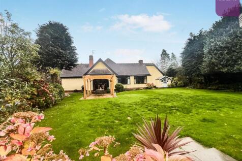 tlc_0883db8e-1df3-4599-976e-577bbc1001fb_4b76696.j