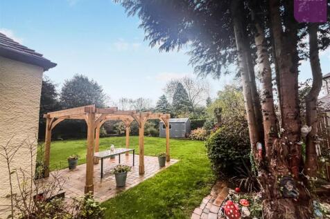 tlc_99f3015a-39c5-4de9-9c73-9ca27b569d76_6e9f02f.j