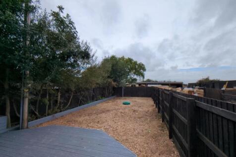 Back Garden