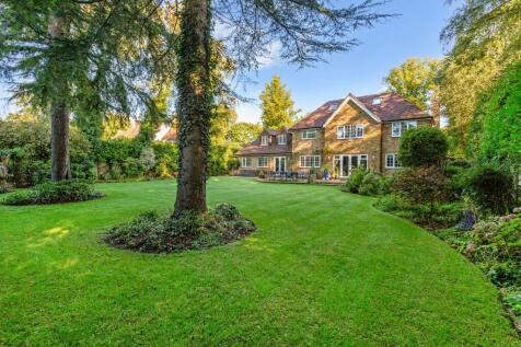 Property Image 4