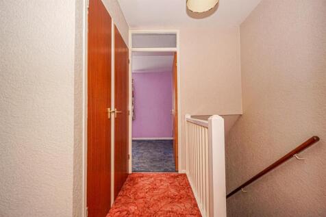 DSC02626_Alto.jpg