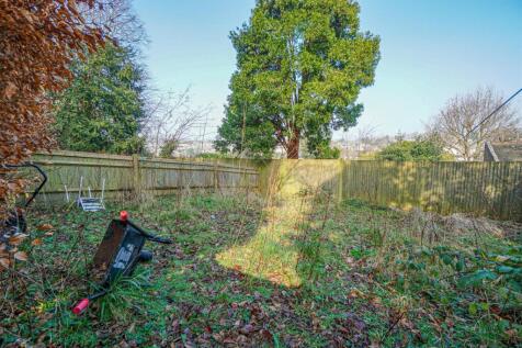 DSC03993_Alto.jpg