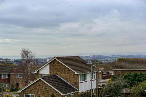 DSC01655_Alto.jpg
