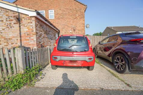 DSC00579_Alto.jpg