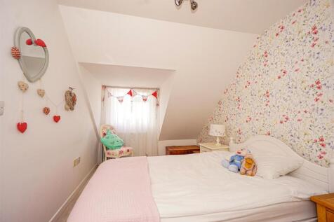 DSC03784_Alto.jpg