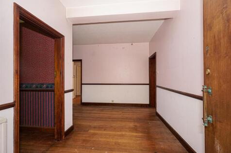 DSC07050_Alto.jpg