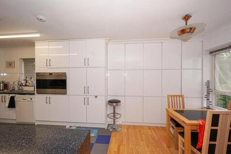 DSC09341_Alto.jpg