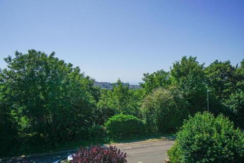 DSC03932_Alto.jpg