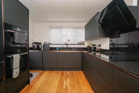 DSC01986_Alto.jpg