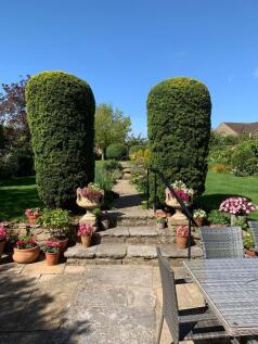 Rear Garden (summer)