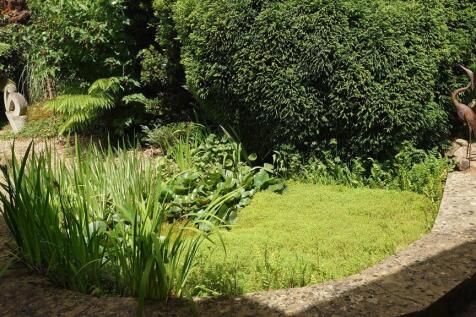 Garden.jpg