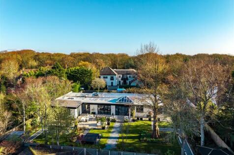 Vendor Aerial View.jpg