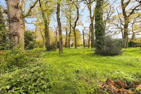 Property Image 36