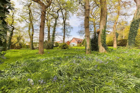 Property Image 39