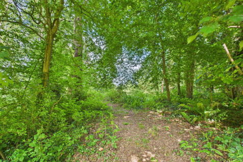 Property Image 41