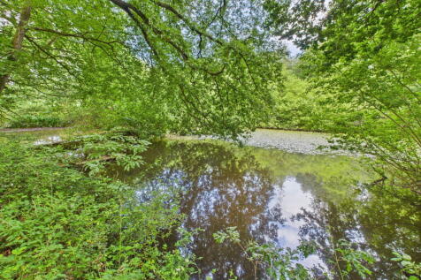 Property Image 43