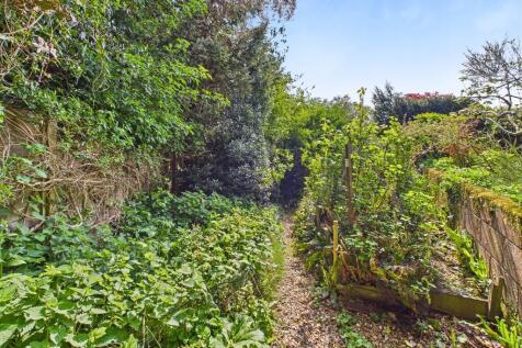 Garden c