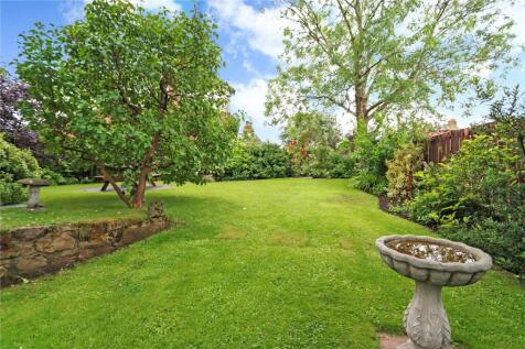 Garden Pic 3