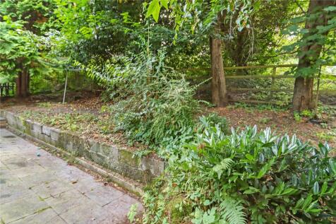 Garden Pic 2