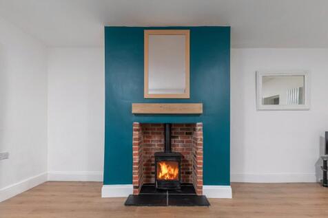 Multi-Fuel Stove