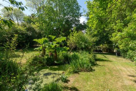 Garden Pic 3