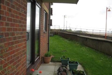 Patio Area