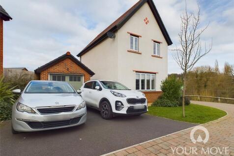 Driveway and Garage