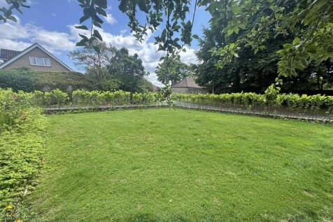 31. Side Garden