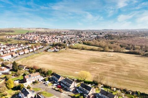 dji_fly_20250320_141840_0033_1742487755754_photo