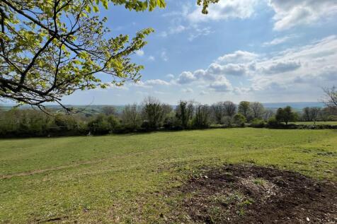 Property Image 49