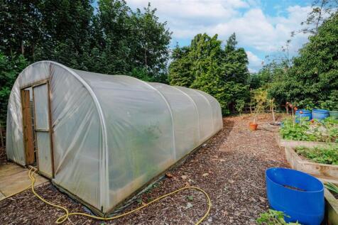 Polytunnel allotment area 1 1N9A7318.jpg
