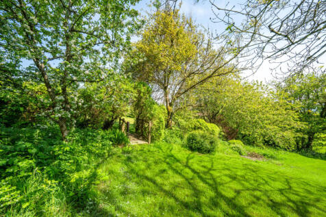 Bampton, Seddons