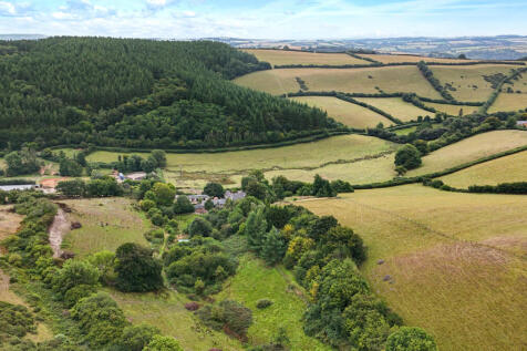 Raddington, Seddons