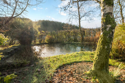 1377150-9-6920464...