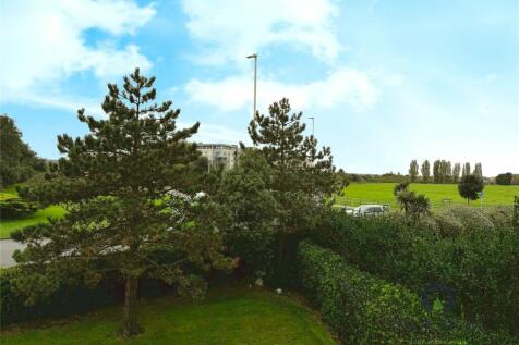 Communal Garden