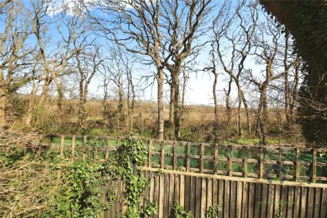 Backing Cuckoo Trail