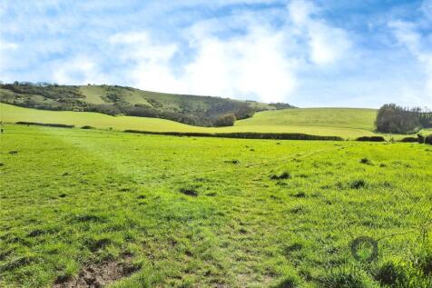 Paragon Fields