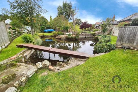 Pond