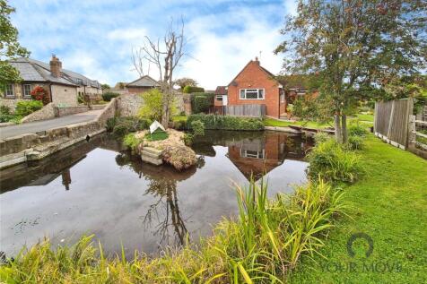 Pond