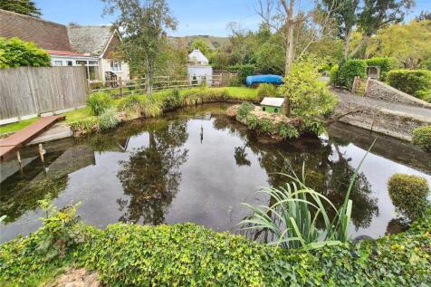 Pond