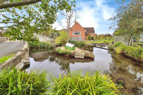 Pond