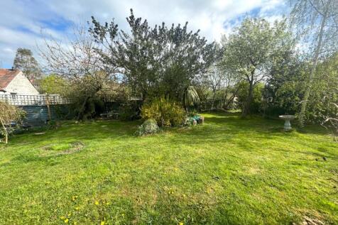 Garden.JPG