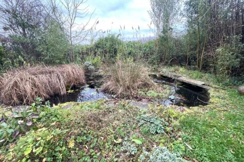 Pond.JPG
