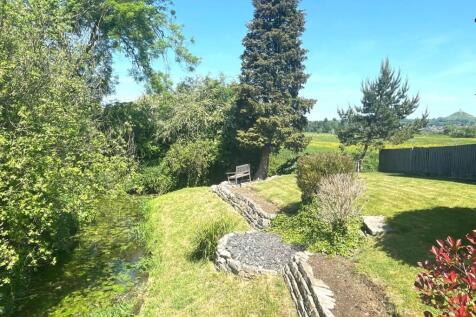 Front Lawn.JPG
