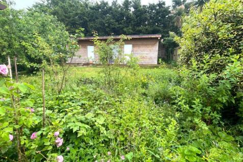 Garden.jpg